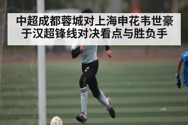 中超成都蓉城对上海申花韦世豪于汉超锋线对决看点与胜负手